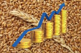 РФ с начала сельхозсезона экспортировала в Китай рекордный объем ячменя и пшеницы